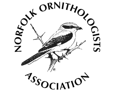 Norfolk Ornithologists Association
